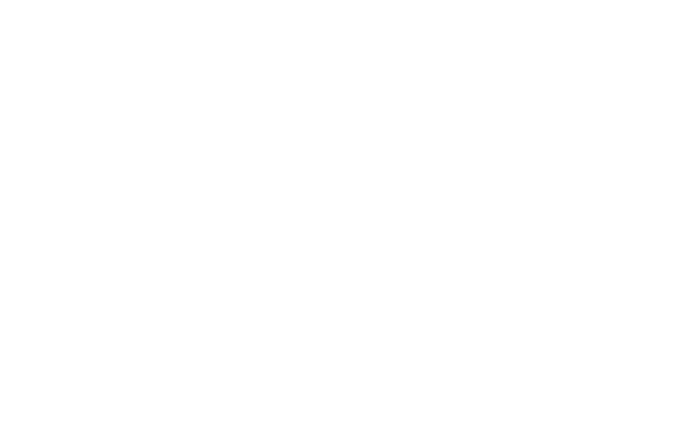 pan-pro-logo